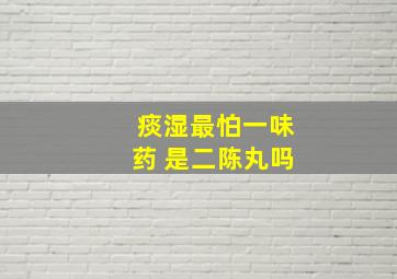 痰湿最怕一味药 是二陈丸吗